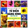 Từ Điển Tiếng Việt Phổ Thông 2010